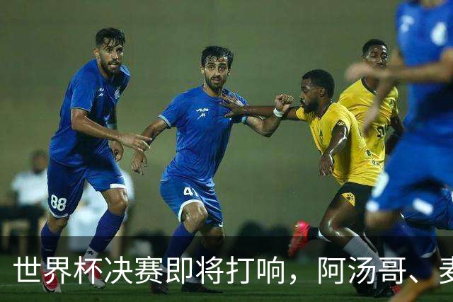 世界杯决赛即将打响，阿汤哥、麦当娜、夏奇拉、比伯等巨星已确定出席表演，执行制片人：演出汇集全球顶尖艺人，希望能代表整个世界