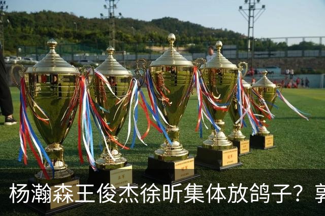 杨瀚森王俊杰徐昕集体放鸽子？郭士强8月这盘棋，怕是要靠周琦赵睿张镇麟来救了